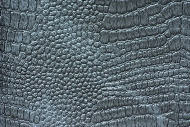 Fragment of genuine reptile skin artificially dyed shiny black. Background, pattern, texture.