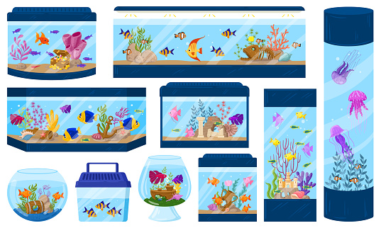 Cartoon aquariums with underwater fish, algae and corals. Aquarium underwater fish pet vector illustration set. Aquaria environment with sea wildlife, seaweed and decor as anchor, treasure chest