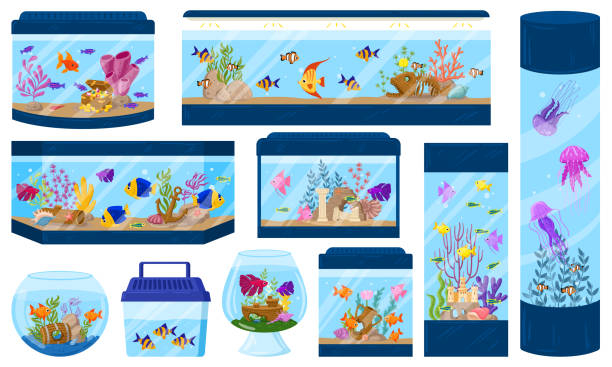 Cartoon aquariums with underwater fish, algae and corals. Aquarium underwater fish pet vector illustration set. Aquaria environment with sea wildlife Cartoon aquariums with underwater fish, algae and corals. Aquarium underwater fish pet vector illustration set. Aquaria environment with sea wildlife, seaweed and decor as anchor, treasure chest goldfish bowl stock illustrations