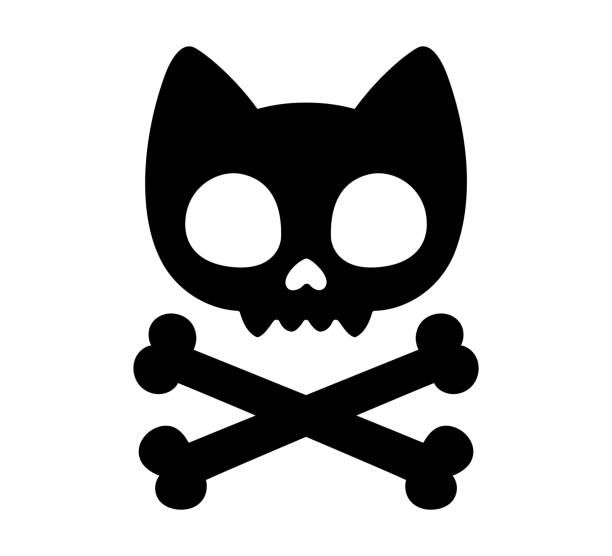 ilustraciones, imágenes clip art, dibujos animados e iconos de stock de cráneo de gato de dibujos animados y tibias cruzadas - pirate flag