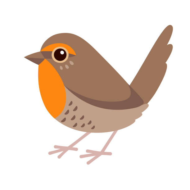 ilustrações de stock, clip art, desenhos animados e ícones de cute cartoon chucao bird drawing - rubecula