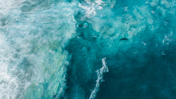 istock Stylized Drone shot of a Kitesurfer at Cronulla Beach Sydney Australia 1362456821