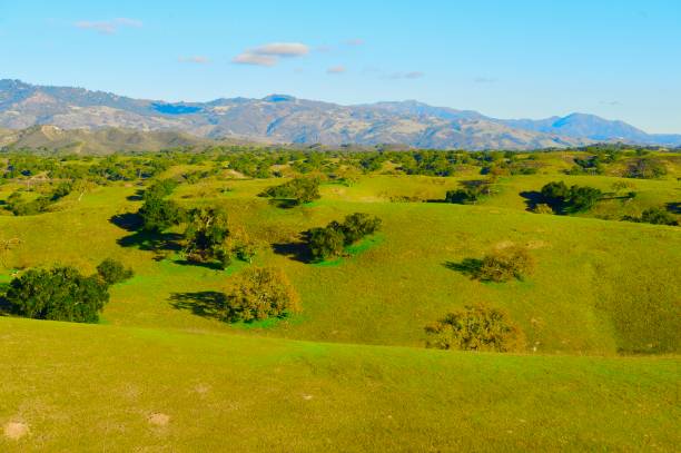 istock California Central Coast 1362457756