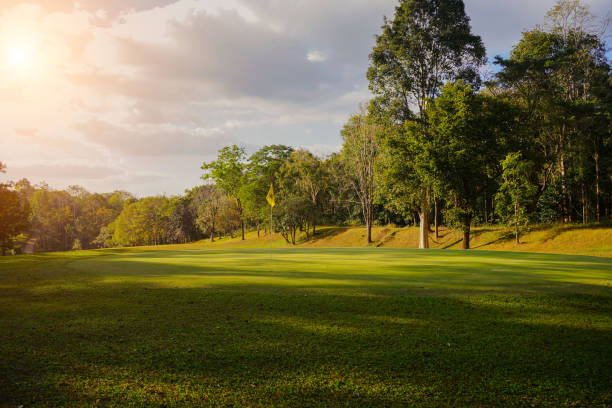 istock Golf course with a rich green turf beautiful scenery. 1362459152