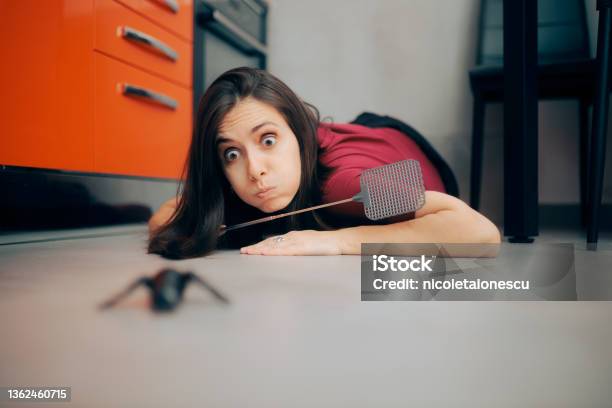 Woman Following A Big Insect On The Kitchen Floor Stock Photo - Download Image Now - Pest Control Equipment, Pest Control, Insect