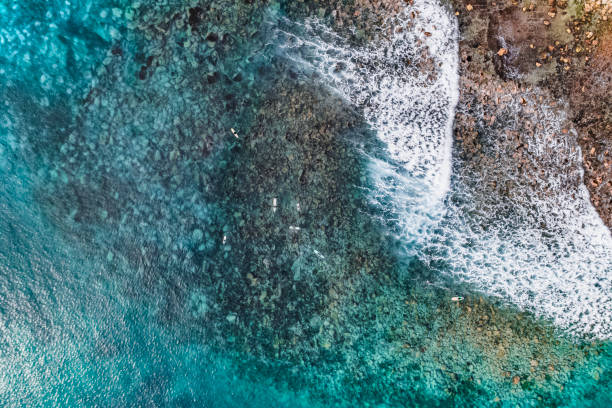istock Stylized Long Exposure Drone Shot of Shelly Headland Waves 1362461318