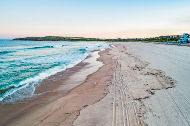 Drone Photo of Maroubra Beach