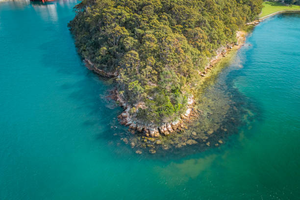 istock Stylized Drone Shot of Berry Island Reserve 1362461734