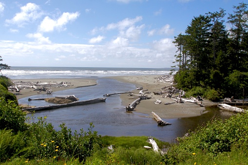 The beach on the Pacific Ocean in front of Kalaloch Washington in Olympic National Park
