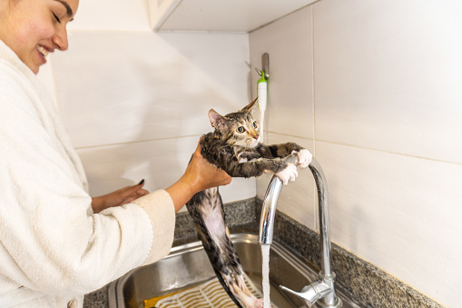 A cat is holding on to the faucet of the faucet while bathing in a dishwasher while a woman smiles