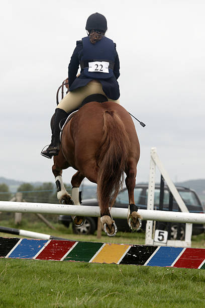 istock Woman horserider going over the hurdle 136247318