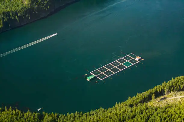 Photo of Aerial View of Fish Farming British Columbia, Canada