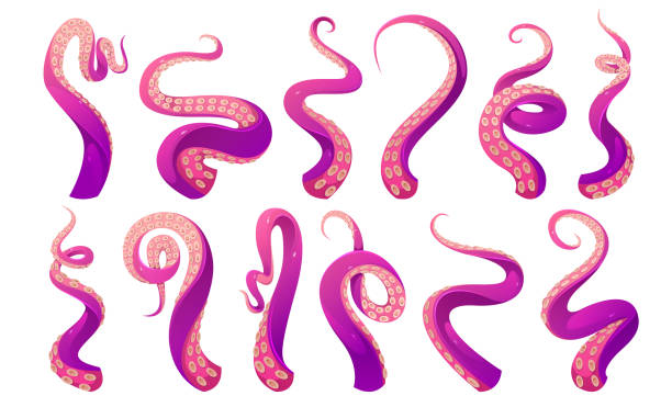 Tentacles of octopus, squid or kraken Tentacles of octopus, squid or kraken. Vector cartoon set of scary sea monster arms, purple and pink giant octopus tentacles with suckers. Cthulhu hands and legs isolated on white background tentacle stock illustrations