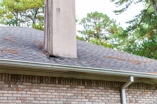 techo que necesita reparación por daños causados por fugas de agua. - roof leak fotografías e imágenes de stock