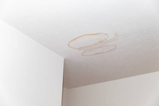 istock Stains on ceiling and wall from water leak 1362475094