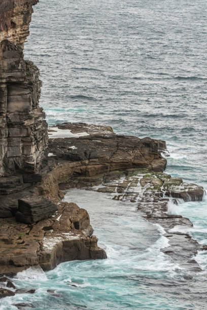 istock Cliff and rock platform, Diamond Bay, NSW, December 2021 1362475996