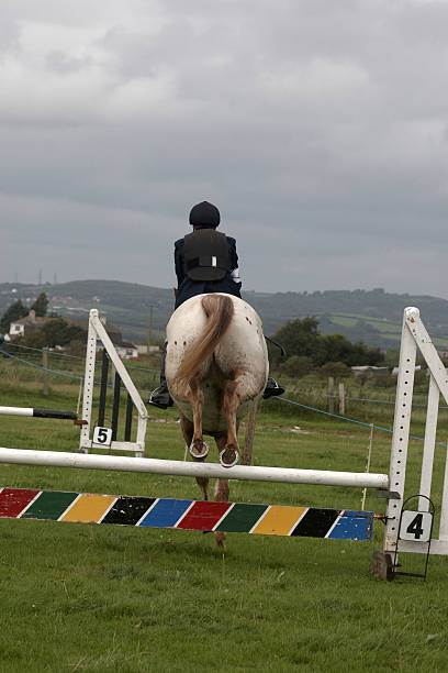 istock Woman horserider going over the hurdle 136247875
