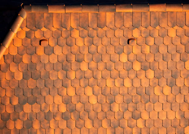 Tiled roof top aerial view