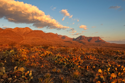 Southern Rocky Mountains in El Paso, Texas at Sunrise. Area is known as Castner Range. It is an old firing range that is off limits to the public.