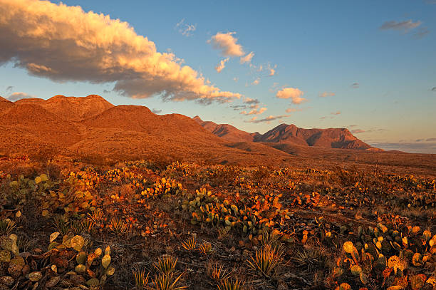 Desert Mountains at Sunrise Southern Rocky Mountains in El Paso, Texas at Sunrise. Area is known as Castner Range. It is an old firing range that is off limits to the public. texas mountains stock pictures, royalty-free photos & images