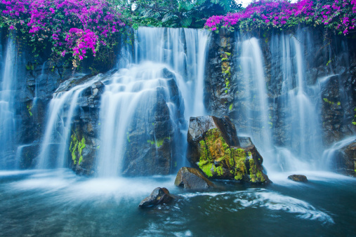 Lush Waterfall in Hawaii,  Long exposure used to blur and soften water.