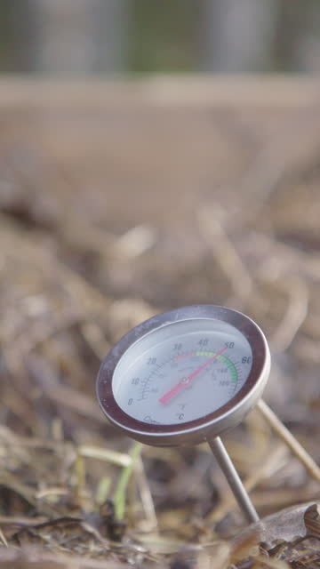 VERTICAL, SLOW MOTION - steam rises around the compost thermometer