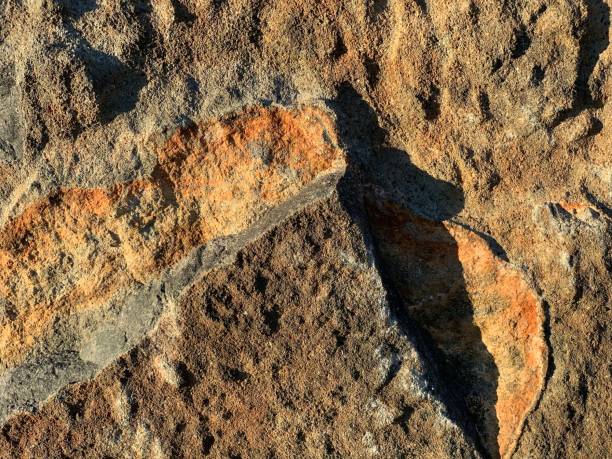istock Background texture of rock 1362492320