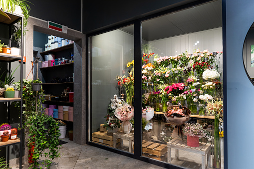 stylish flower shop interior with potted plants and fridge for premium bouquets.