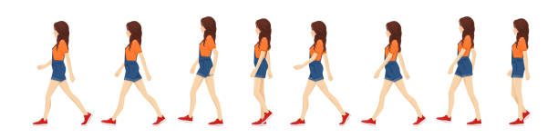 Female character walk cycle sequence side view Side view of young beautiful brunette woman walk cycle for animation. Female character sequence vector illustration. walking animation stock illustrations