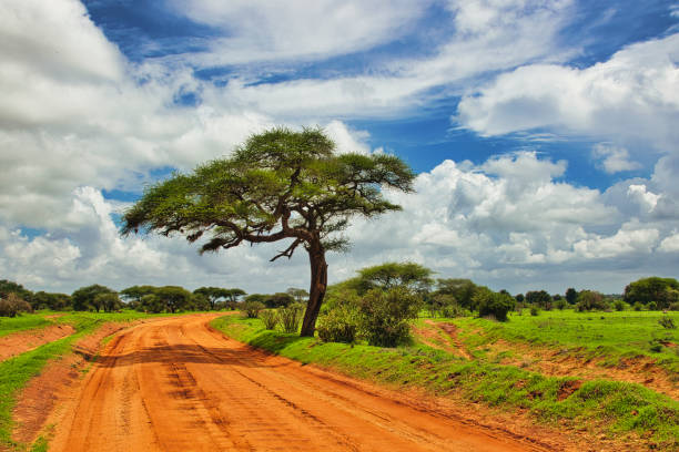 Landschaftsbilder aus dem Nationalpark Tsavo Ost Tsavo West und Amboseli Landscapes from Tsavo East National Park Tsavo West and Amboseli tsavo east national park photos stock pictures, royalty-free photos & images