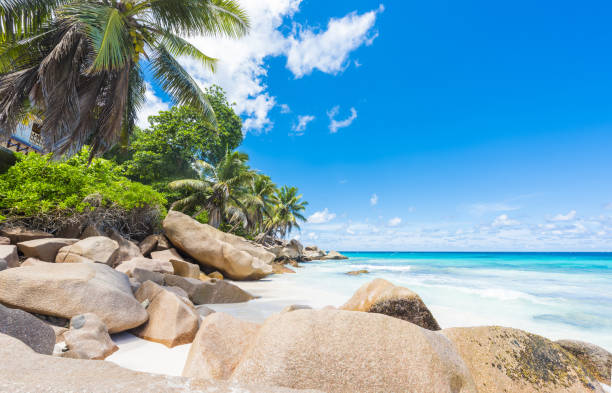 istock Anse Patates beach in Seychelles 1362505629