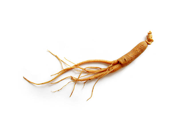 ginseng raíz - ginseng isolated root herbal medicine fotografías e imágenes de stock