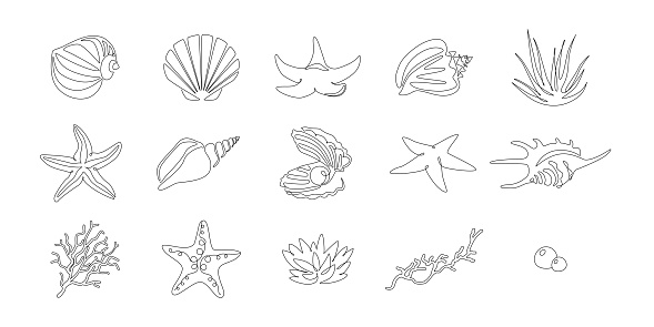 Set of seashells and starfishes. Continuous one line drawing of oyster mollusk with pearl corral and snail shells in simple linear style. Modern minimalist outline icon. Doodle Vector illustration.