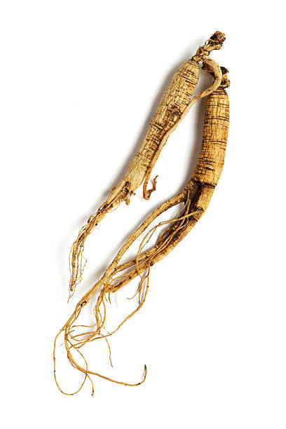 Ginseng Root Ginseng Root ginseng stock pictures, royalty-free photos & images