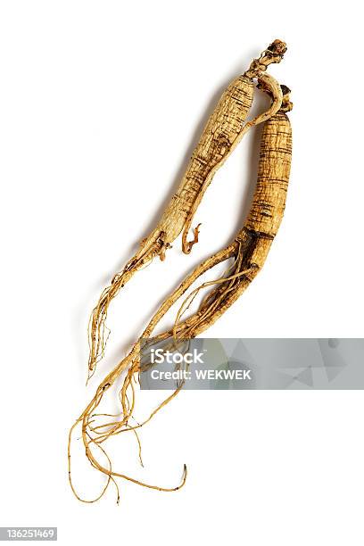 Foto de Raiz De Ginseng e mais fotos de stock de Ginseng - Ginseng, Fundo Branco, Raiz