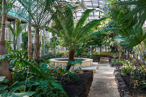 Inside the Imperial Butterfly House, or Schmetterlinghaus, in Vienna