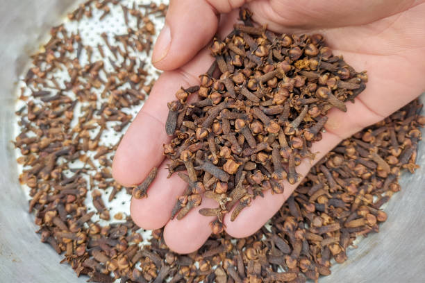 istock dry cloves in hand 1362517388