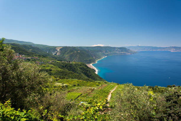 Viticulture by the sea Viticulture in Calabria calabria stock pictures, royalty-free photos & images