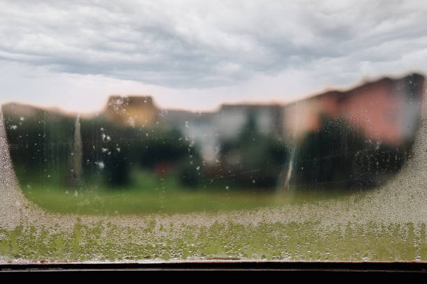 istock wet and damp cityscape 1362518891