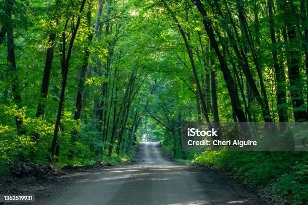 A Gorgeous View Of The Landscape In Tamarac Nwr Minnesota Stock Photo - Download Image Now