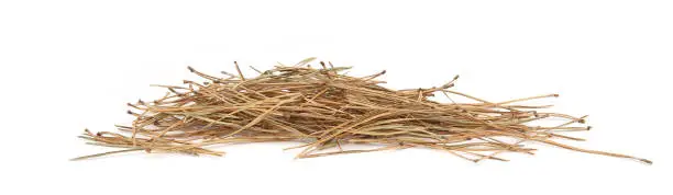 Photo of Pile of dried pine needles isolated on white background.