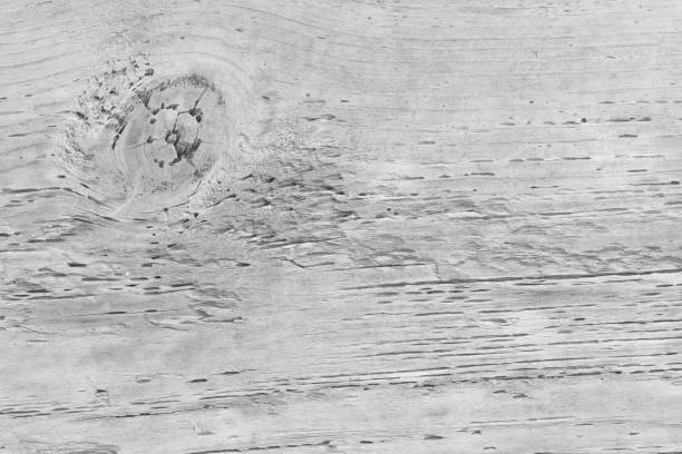 istock White wooden planed timber flooring, wall, background surface blank for design your product 1362526536