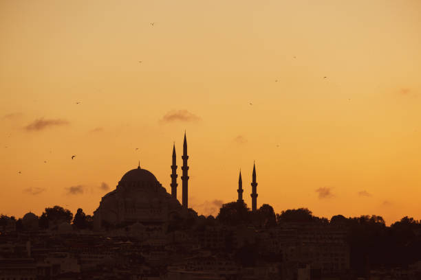 silueta de la mezquita de suleymaniye. editorial filmado en estambul turquía - architect sinan fotografías e imágenes de stock
