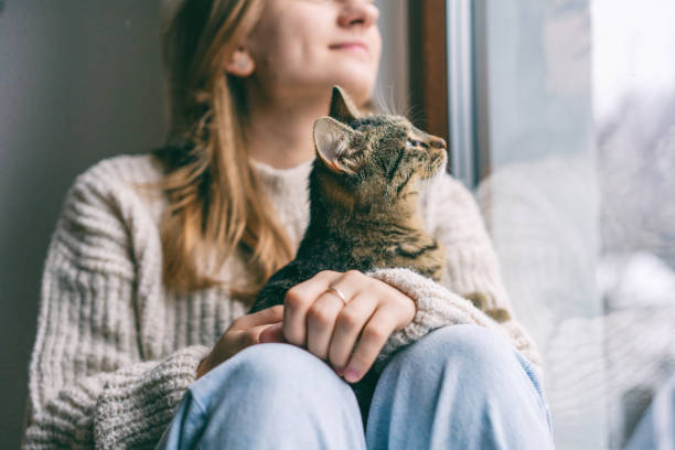 młoda wesoła dziewczyna siedząca w domu na parapecie w ciepłym swetrze bawiąca się z szarym kotem w zimowy dzień - white domestic cat kitten young animal zdjęcia i obrazy z banku zdjęć