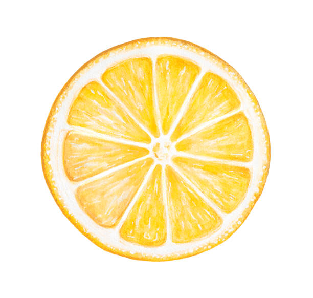 Water color illustration of bright yellow Lemon Slice. Symbol of life, health, renewal, luck, optimism. Hand painted watercolour graphic drawing on white background, cutout clipart element for design. citric acid stock illustrations