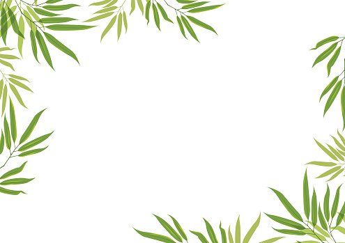 Vector green leaves frame on white background