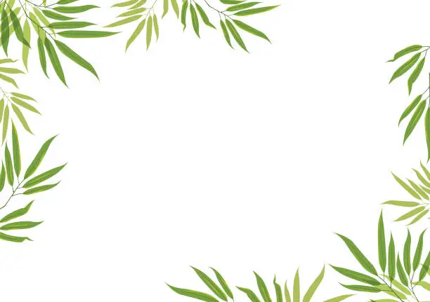 Vector illustration of Green leaves frame on white background