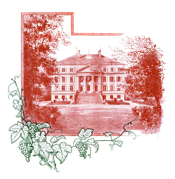 secesyjny element projektu do dekoracji liści winogron i rysunku zamkowego 1898 - 1898 stock illustrations
