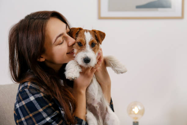 istock Young brunette woman with small breed dog. 1362532770