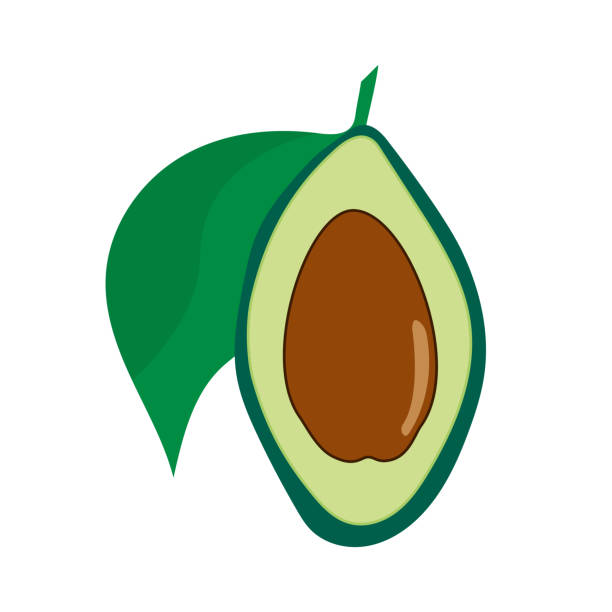 ilustraciones, imágenes clip art, dibujos animados e iconos de stock de avokado dibujado a mano - guacamole avocado cutting white background